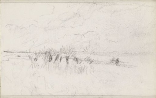 Field with sheaves of corn