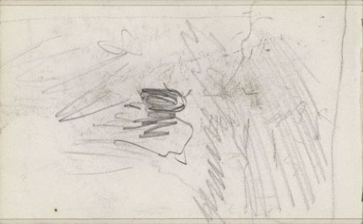 Study
