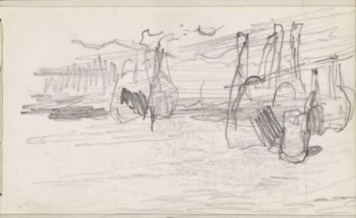 Cows in a meadow