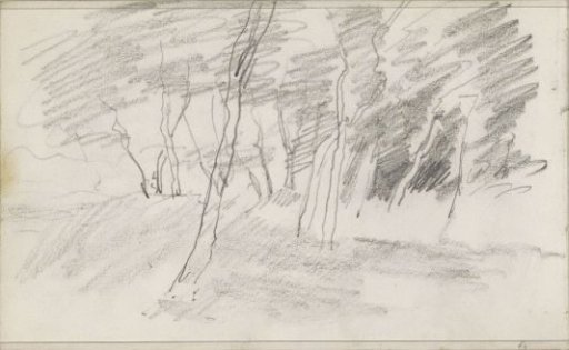 Trees