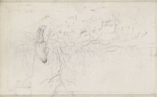 Shepherd with a flock of sheep