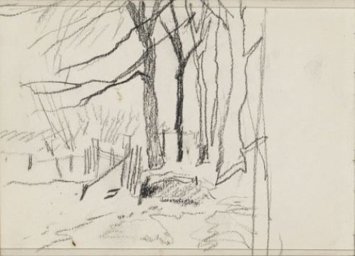 Landscape with trees and a fence