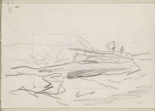 Study, possibly felled tree trunks