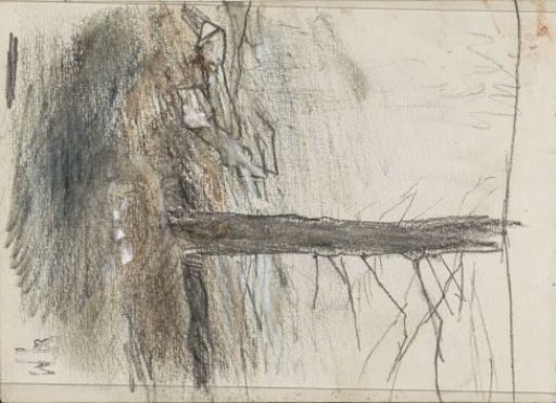 Tree with bare branches
