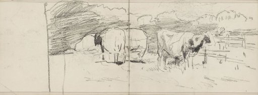 Cows in a Meadow by a Gate