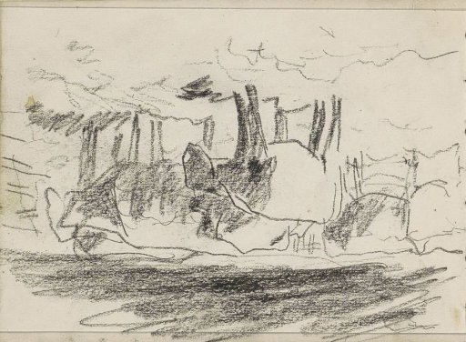 Cows in a meadow