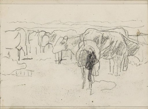 Cows in a meadow