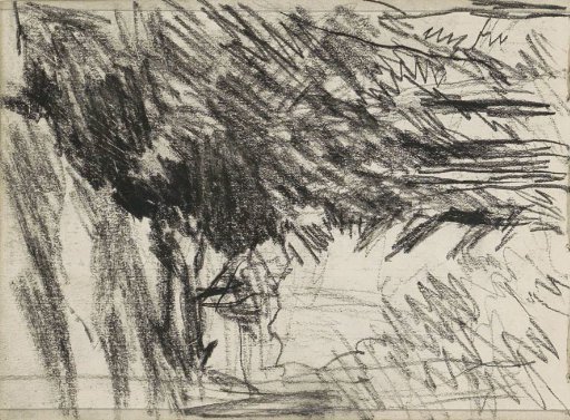 Landscape with trees