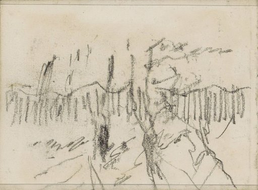 Trees before a fence