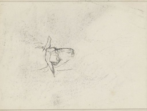 Head of a cow