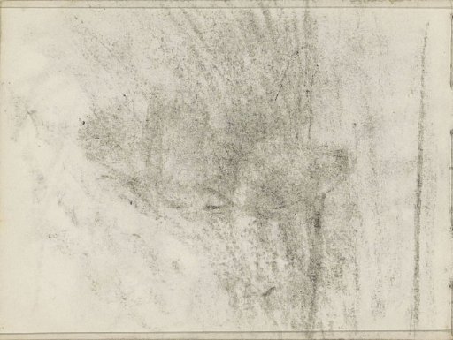 Study