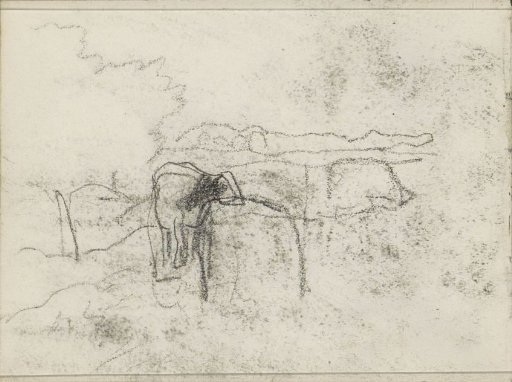 Cow in a landscape