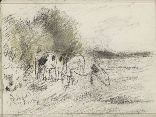 Grazing cows in a landscape