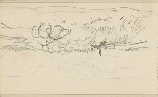 Sheep on a Hill