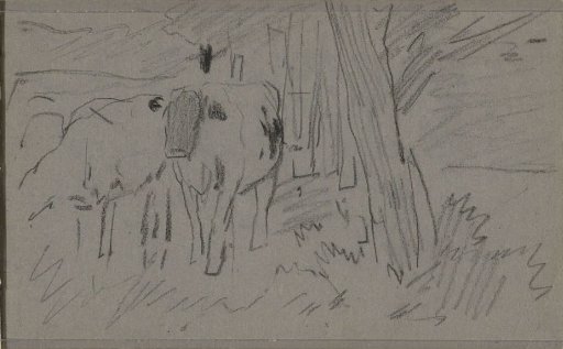 Cows by a Row of Trees