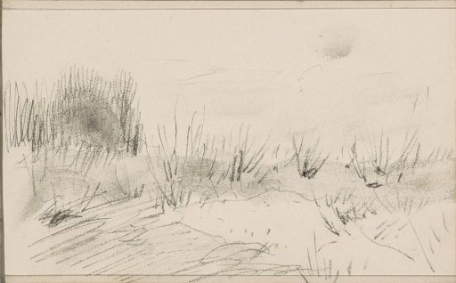 Dune Landscape with Marram Grass
