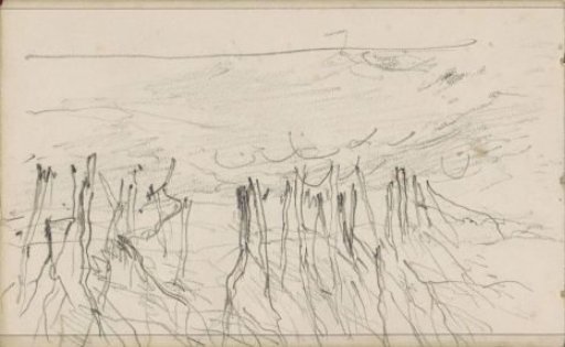 Group of Trees in a Landscape