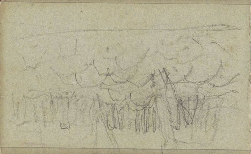 Flock of Sheep by a Fence