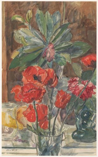 Flower study of Poppies and Rhododendrons