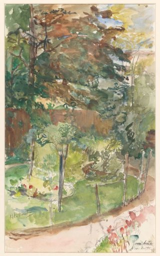 View in garden