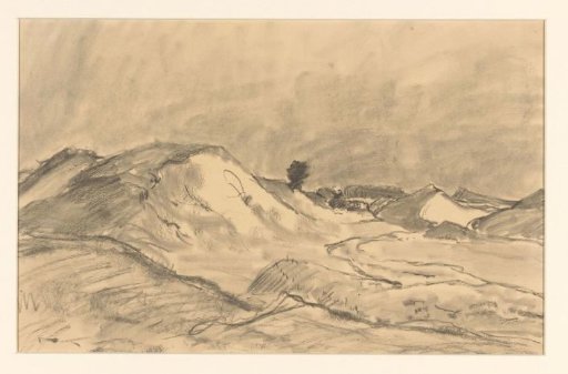 Veluwe landscape