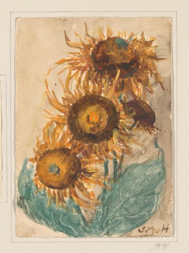 Sunflowers