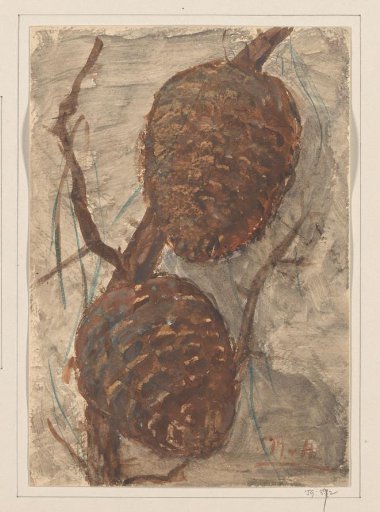Pine cones