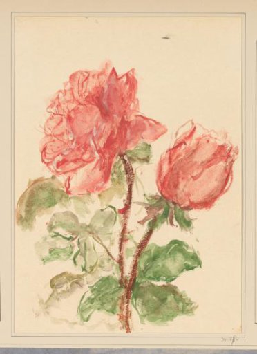 Roses