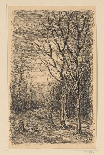 Wooded landscape