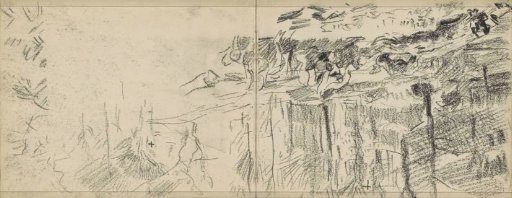 Forest with felled trees