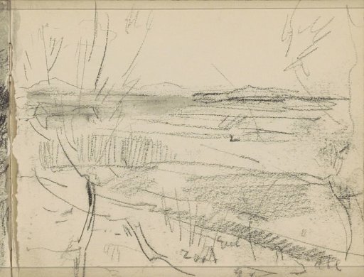 Landscape, possibly a dune landscape