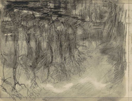 Trees by the water