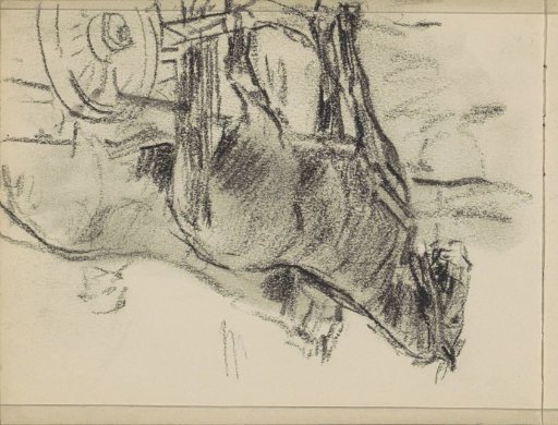 Two harnessed horses