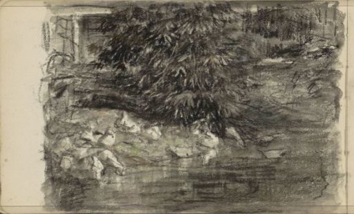 Landscape with ducks