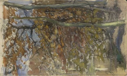 Trees in a hilly landscape