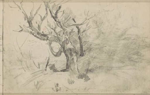 Landscape with Trees, Possibly a Dune Landscape