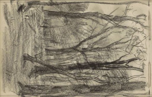 Forest View