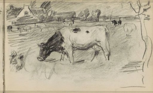 Meadow with cows