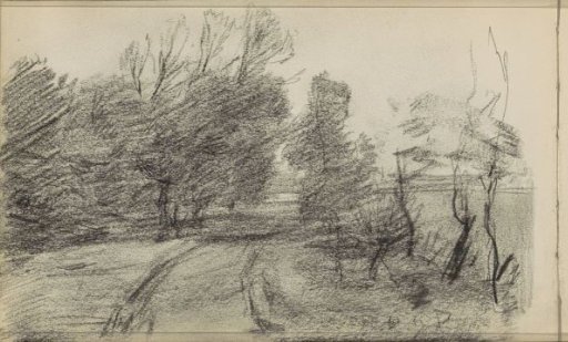 View of a path