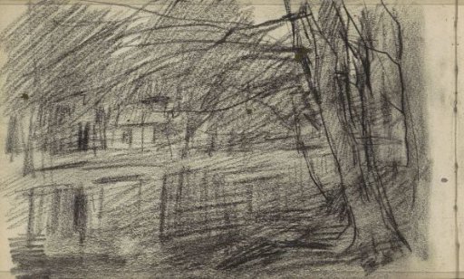 Shore with trees