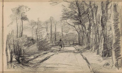 View of a path along trees