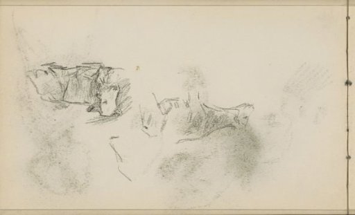 Standing and lying cow