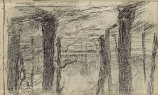 Wooded landscape