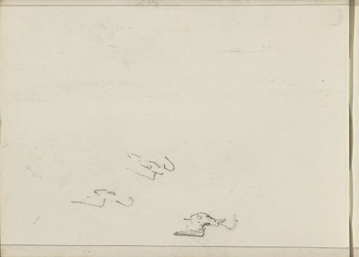 Birds in flight