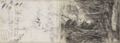 View of a forest path