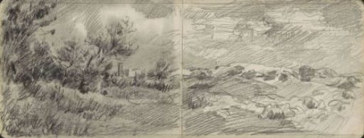 Dune landscape