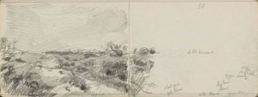 Dune Landscape