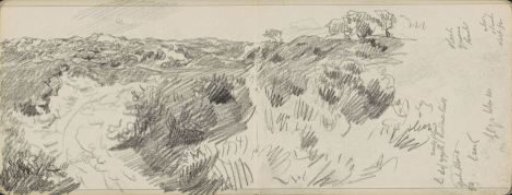Dune Landscape