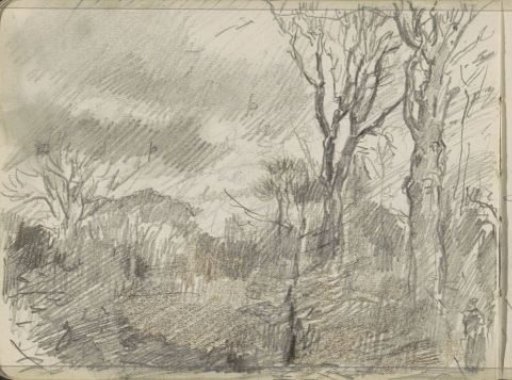 Forest View