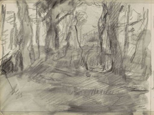 Forest View